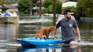 Comparable nearby homes include 2417 pickett rd, 505 w cornwallis rd, and 2930 chapel. Nsw Floods Natural Disaster Declared For Parts Of State The West Australian