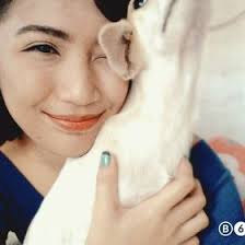 Si shana may ronco (shanamayr)