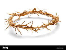 Crown of thorns isolated hi-res stock photography and images - Alamy