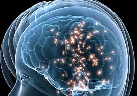 Resultado de imagen de leyes de la materia