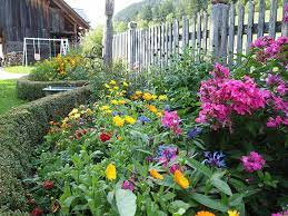 Maybe you would like to learn more about one of these? Urlaub Am Bauernhof Landselection