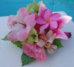 Google Image Result For Http Creativeweddings Squarespace Com Storage Pink 2520hibiscus Jpg 3f S Hibiscus Bouquet Hibiscus Wedding Tropical Wedding Bouquets