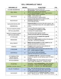 Prokaryotes include bacteria and archaea, two of the three domains of life. Cells Structure Function Reference Sheet For Teacher
