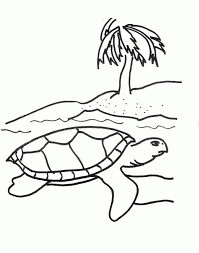 For boys and girls, kids and adults. Free Printable Turtle Coloring Pages Coloring Home