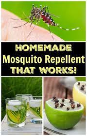 How To Make Natural Homemade Mosquito Repellent With Only 5 Ingredients Mosquito Repellent Homemade Mosquito Repellent Repellent Homemade