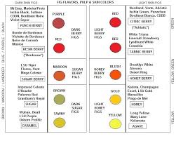 Fig Ripening Order Short Season Tips Mountain Figs