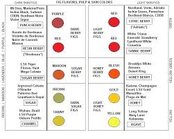 fig ripening order short season tips mountain figs