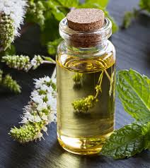 Peppermint oil is commonly used as a muscle relaxant. Peppermint Oil Benefits And Uses For Skin Hair And Health