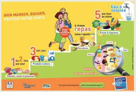 World Report Nutrition Guidelines By Country Food Pyramid Nutrition Guidelines French Food