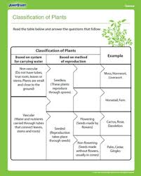 Classification Of Plants Printable 4th Grade Jumpstart
