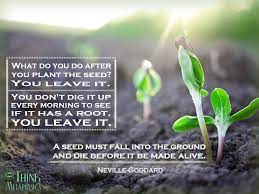What We Imagine We Create Just Like A Seed Dropping Into The Ground We Plant Thoughts In Our Imagination What Are You Pla Neville Goddard Metaphysics Plants