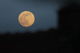 Mon compte me connecter/ m'inscrire. Belgique Italie La Super Lune En Images Aux Quatre Coins Du Globe Photos Le Soir