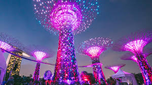 Supertrees at Gardens by the Bay lit up in vivid colours during the evening Garden Rhapsody light show in Singapore