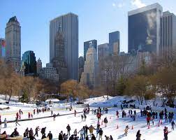 Besides all of this there is the world famous central park zoo and wildlife center and the children's zoo. Wollman Rink Wikipedia