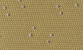 Image result for Buckskin 1961 Dodge