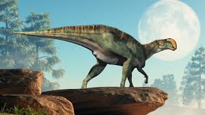 Damals starben dinos aus, heute geht es den kinos an den kragen. Muscheln Verraten Wie Lange Fruher Ein Tag Dauerte Spektrum Der Wissenschaft