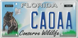 Check spelling or type a new query. Conserve Wildlife Plate License Plate Florida State Of Florida