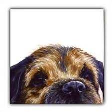 He saves his barking for times when it. 500 Idees De Border Terrier En 2021 Chien Border Terrier Animaux