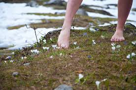 The Grass Between My Toes