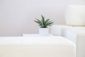 Minimalist artwork minimalist interior minimalist style minimalist fashion minimalist bedroom home interior interior design scandinavian interior decor logo. House Plant Interior White Minimal Design Decor Decoration Vase Pot Pxfuel