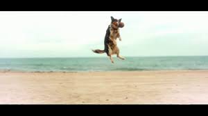 Aaron Rodgers Tv Commercials Ispot Tv