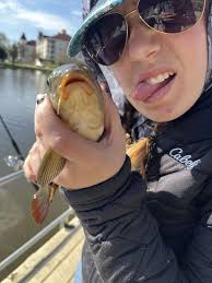 What fish are in Lake Carmi?