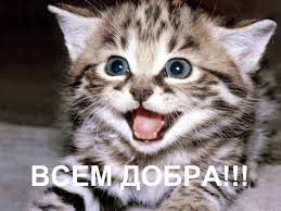 images?q=tbn:ANd9GcQMvix5dBKYgeEmqJ3W8NelXqr9aJe1XvuQQnjMQQurZBGVB0-s
