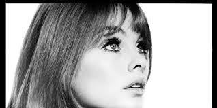 Preview: Rock Gods & Superstars