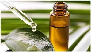 Tea Tree Oil Can Do Wonders For Your Skin And Hair