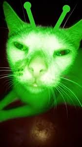 30 Meeble morp ideas