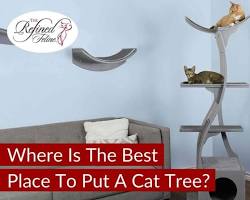 cat tower placed in a living roomの画像