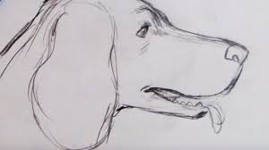 Easy pencil drawing for beginners simple sketch. Learn How To Sketch Draw 50 Free Basic Drawing For Beginners
