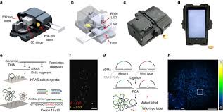 Simple mobile phone detector circuit designed with few easily available components and we can detect any kind of active mobile phones with in a room or mobile phone detector circuit detects only electromagnetic signals caused by active mobile phones and it can't located switched off mobiles. Targeted Dna Sequencing And In Situ Mutation Analysis Using Mobile Phone Microscopy Nature Communications