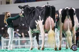 Grand National Holstein Junior Show 2020