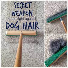 These will eventually end up at the corner of the carpet or on the floor from where you can. My Secret Weapon That Picks Up More Dog Hair School Of Decorating