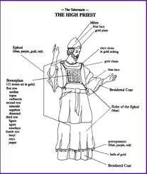Of which four belonged to the inferior. Color The Clothing Of The High Priest Kids Korner Biblewise