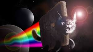 Universe full hd pc 49. 24 Meme Wallpapers Ideas Wallpaper Cat Wallpaper Meme Background
