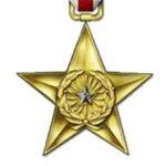 Image result for Silver Star 1993 Dakota