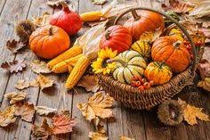 Herbststillleben Mit Kurbissen Maiskolben Und Blattern Blattern Einfacheherbstdeko Herbstdeko2019 Herbstdeko In 2020 Herbst Dekoration Herbst Herbstdeko Draussen