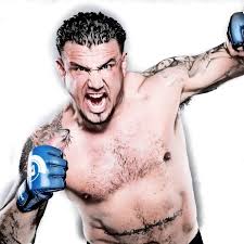 Image result for mir