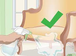 5 Ways To Make Homemade Cat Repellent Cat Repellant Cat Repellant Outdoor Homemade Cat