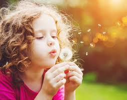 Children Count, Accessing Child and Youth Surveillance Gaps for Ontario  Public Health Units