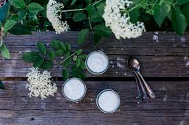 Holunderbluten Panna Cotta Holunderblutensirup Ohne Zitronensaure Dreierlei Liebelei Holunderblutensirup Ohne Zitronensaure Panna Cotta Holunder
