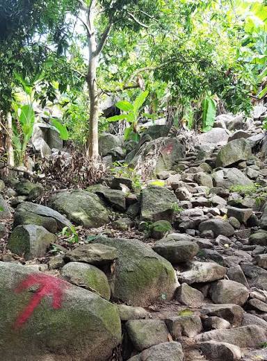 H&igrave;nh ảnh tr&ecirc;n đường leo n&uacute;i B&agrave; Đen - T&acirc;y Ninh - Google Maps contribution stories - Local Guides Connect