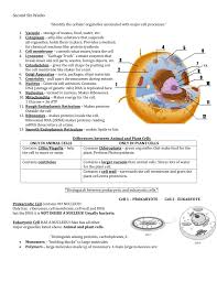 The tunicates, or sea squirts. Second Six Weeks