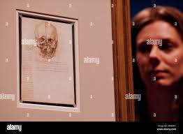 Employee Alice Ross poses with artist Leonardo da Vinci's drawing "A skull  sectioned, 1489" at the Queen's Gallery at Buckingham Palace in London  April 30, 2012. The exhibition "Leonardo da Vinci :
