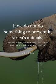 Africa S Most Wonderful Wildlife Quotes Africa Freak In 2020