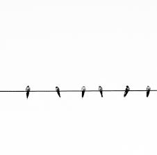 Black And White Dark Theme Dividers Instagram 13 Gorgeous Feed Theme Dividers For Instagram Lu Amaral Studio Theme Dividers Instagram Theme Divider Instagram Divider