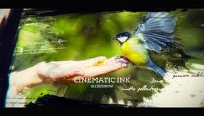 Each scene can be customized separately to match the look of the added footage. Watercolor Slideshow Videohive Direct Download Link Download Free After Effects Templates