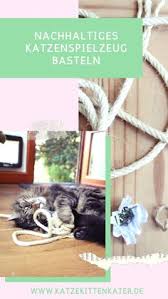 Es gibt verschiedene arten von katzenfutter, je nach den bedürfnissen ihrer spielangel für katzen selber machen wird ihnen das eine oder andere. 36 Katzenspielzeug Selber Machen Ideen Katzen Spielzeug Katzenspielzeug Katzenspielzeug Selber Machen